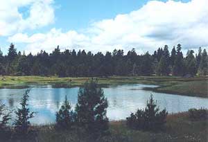 river front properties like this can be found in Klamath County!